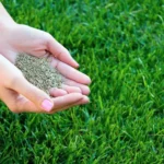 Nordic Peat Çim Gübresi NPK 21-5-10 / 20 KG - Görsel 3