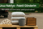 İÇ MEKAN TOPRAGI 20 LİTRE TORF GÜBRE MİL KARISIMI - Görsel 3