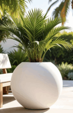 Küre Saksı Çap 50cm x Yükseklik 40cm BEYAZ - Görsel 6
