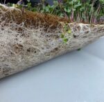 Cocopeat – Hindistan Cevizi Torfu (Kullanıma Hazır) 20 LT. - Görsel 3