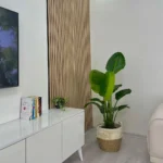 SALON BİTKİ SETİ-Bitki Besini Hediyeli (Starliçe 80-100 cm / Massengena 80-100 cm / Monstera 40-50 cm / Bitki Besini) - Görsel 4
