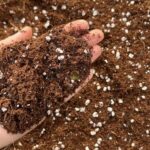 Nordic Peat 20 Lt Torf Gübre Perlit karışımı - Görsel 4